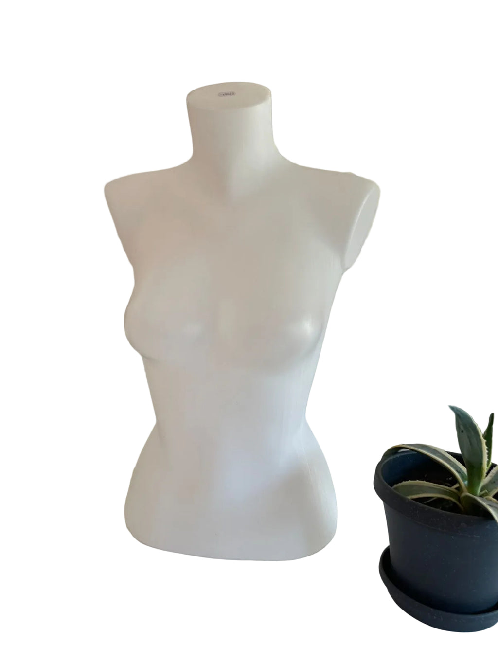 Plastic Torso