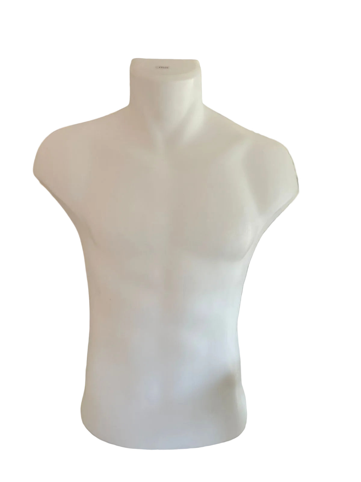 Plastic Torso
